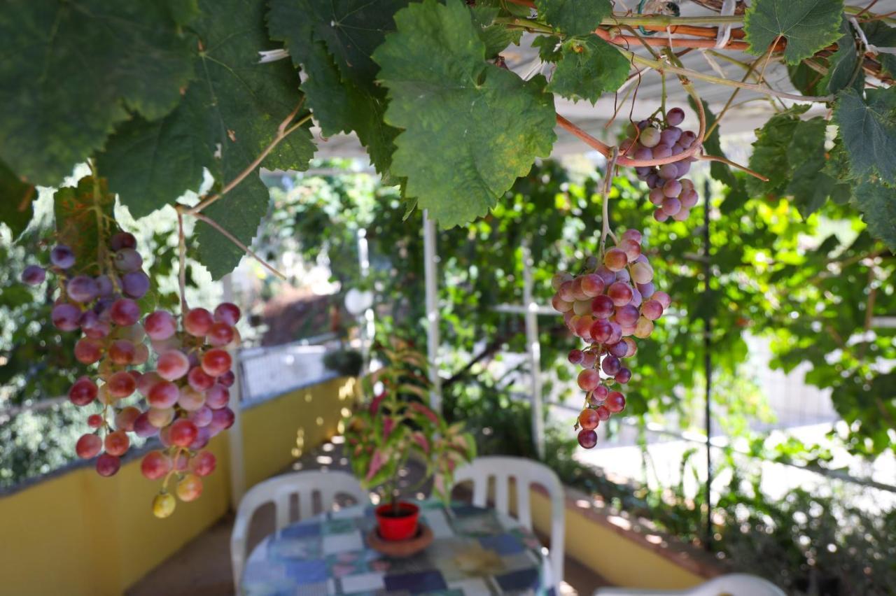 B&B Del Sole Tropea Riaci Екстериор снимка