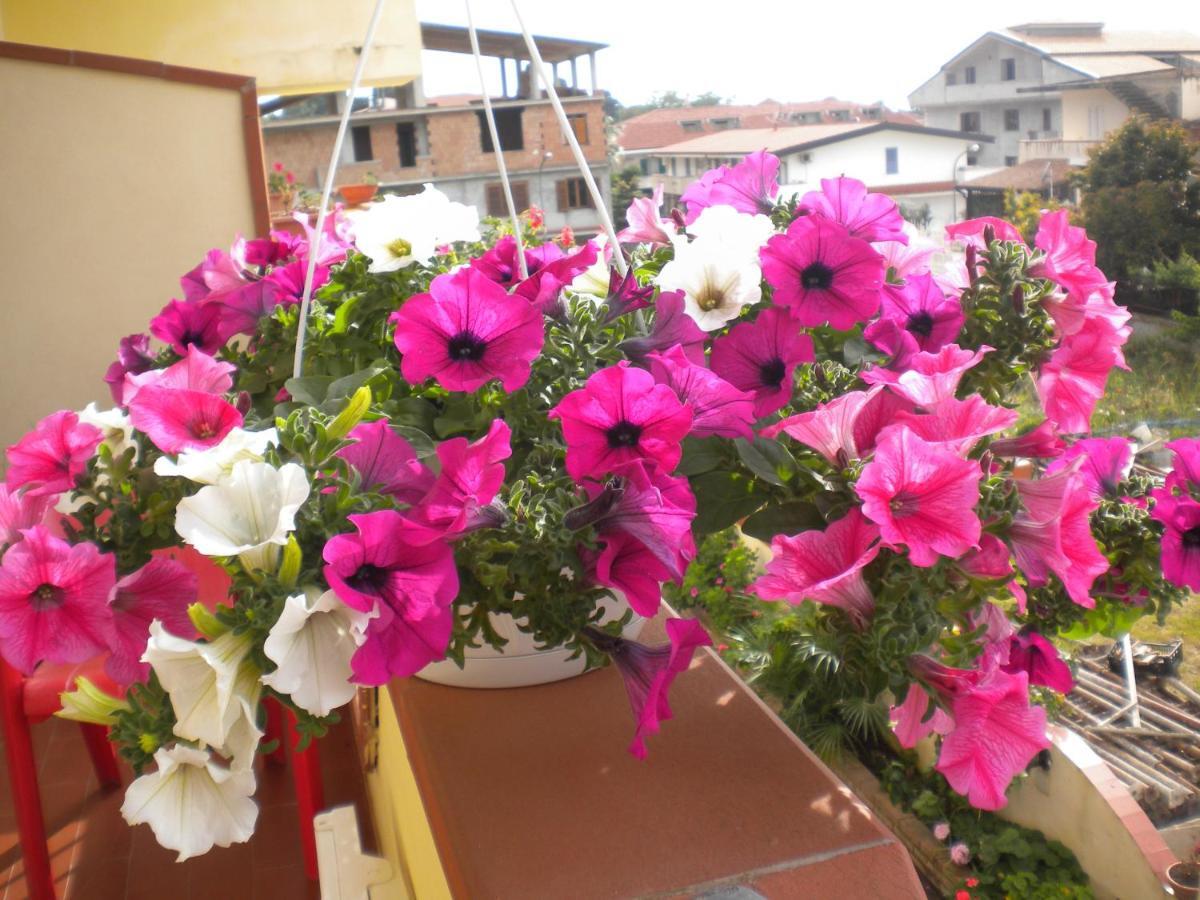 B&B Del Sole Tropea Riaci Екстериор снимка